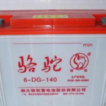 骆驼6-DG-168货三轮用6-DGA-220型电瓶 骆驼3-D-210电瓶