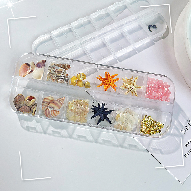 Venta caliente transfronteriza Tormenta marina joyería de uñas rebanadas de concha de estrella de mar natural rebanadas de abulón 12 rejilla mixta