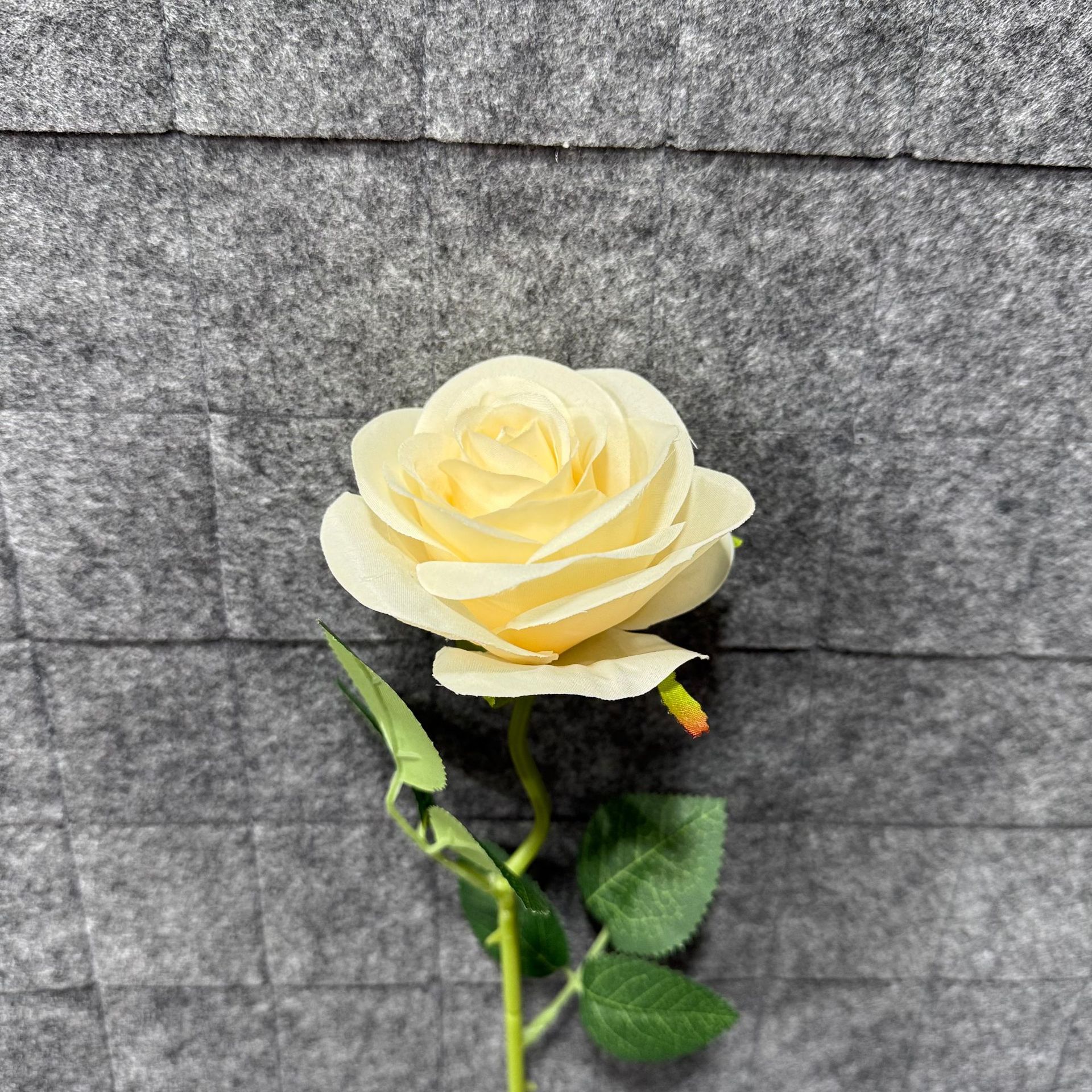 샴페인