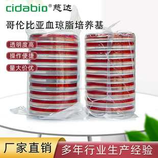 �炐�ȁ�Ѫ��֬���B��Ѫƽ��Ѫ��֬ƽ�弚���������I���x�B���B��