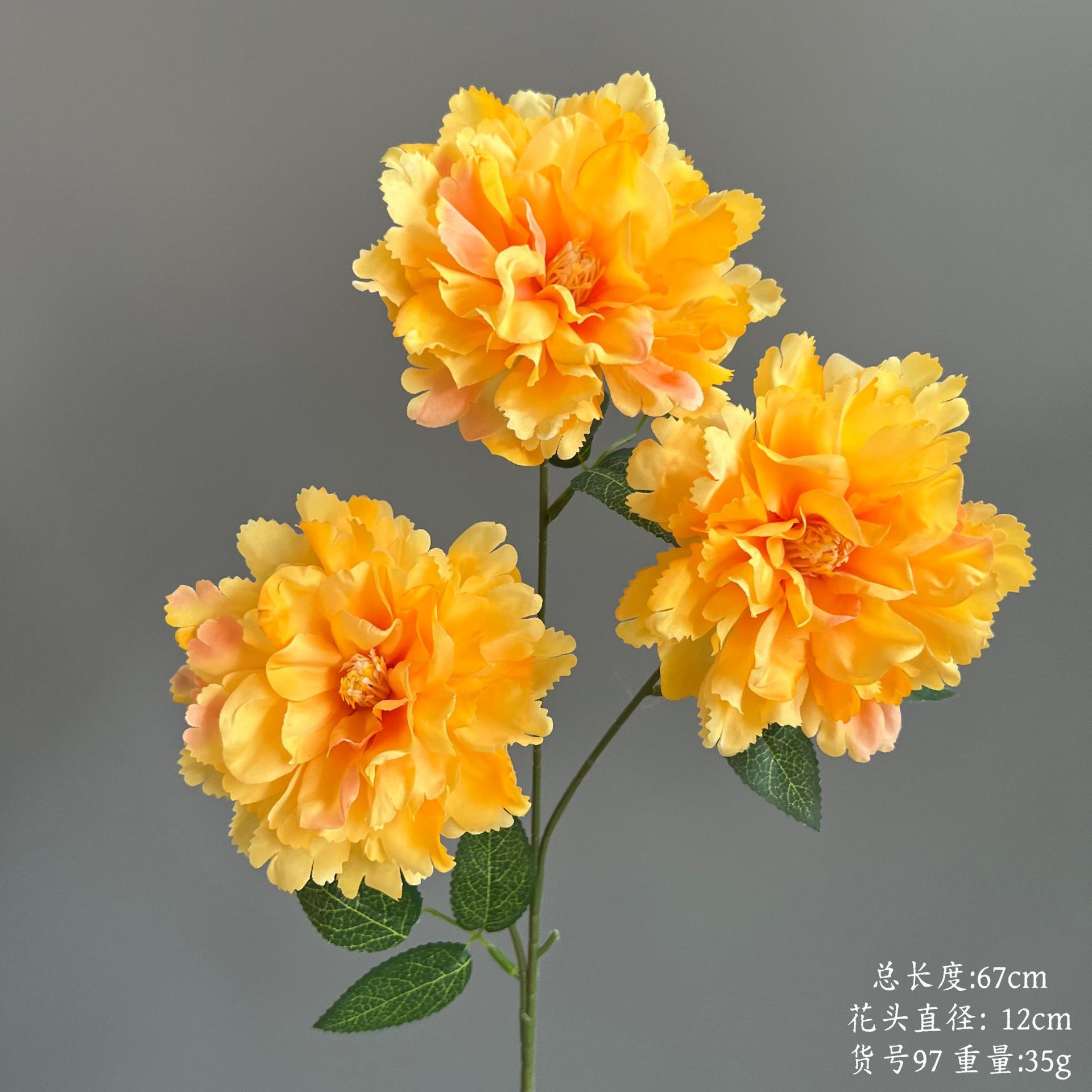 품목번호 97-히비스커스 모란