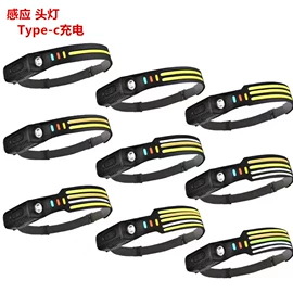 提灯;手电筒;野营/露营灯