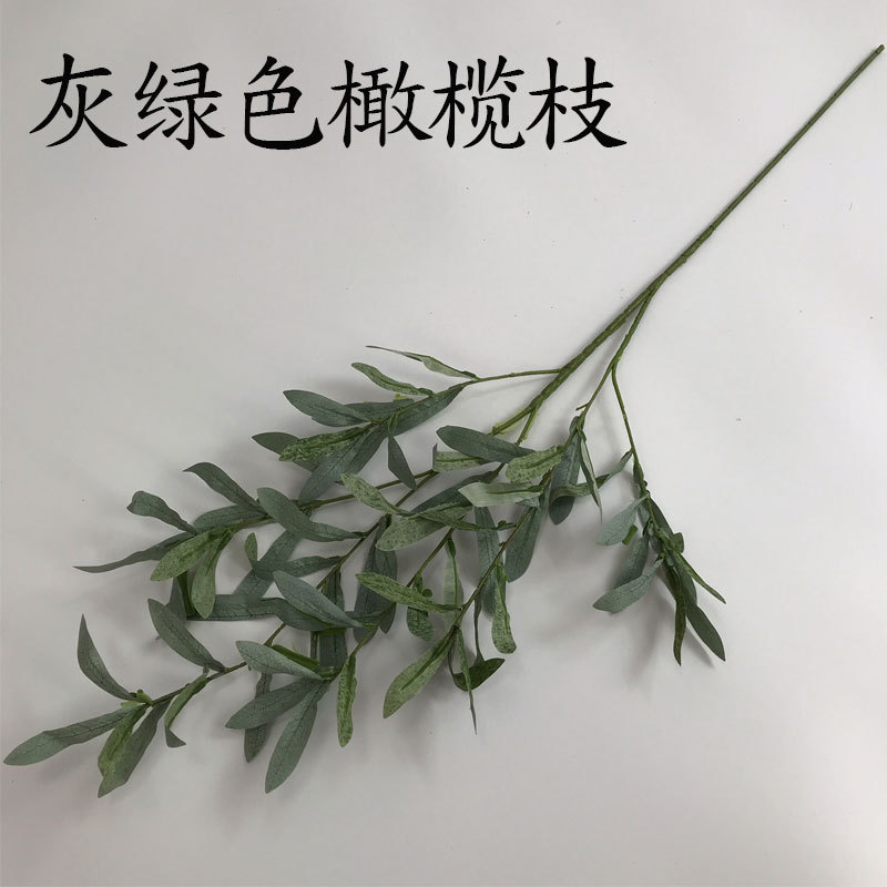 Rama de olivo verde gris