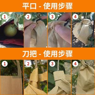 Special Bags for Preventing Birds from Damaging Peach Trees, Winter Peaches, and Yellow Peaches
