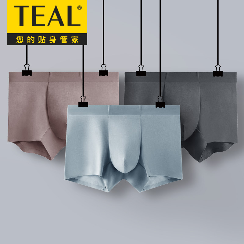 Teal Spring/Summer 100S Long-Staple Cotton Men's Seamless Boxer Briefs Business Style Extended Leg High-End Underwear Wholesale