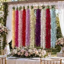 �����m���lܛ�b�쾰�̈��Ƶ�����b������ٻ��ڒ컨�ٻ���c