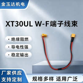 艾迈斯 XT30UL W-F端子线束 航模锂电池硅胶线大电流连接器加工