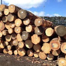 �ӹ�����ľ�����̽��Bľ�������Fɼľ�l����֧ģ��ľ��ľģ�匍ľ