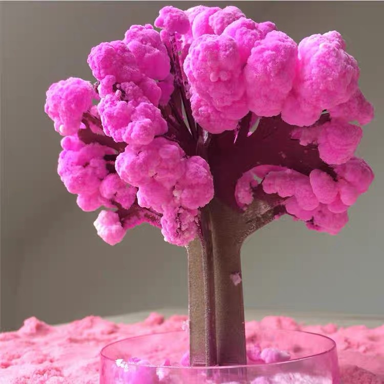 IMG_4890(20210705-070944)