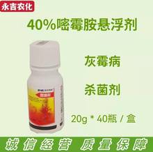 40%嘧霉胺悬浮剂番茄韭菜灰霉病滨农科技思秦彤20克30斤水