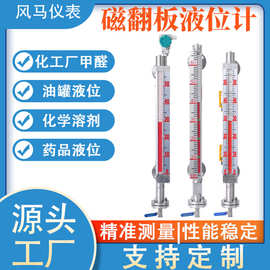 厂家货源 磁翻板液位计 顶装侧装磁翻板液位计 带远传