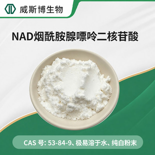 NAD�����������ʶ�������98% ˮ�����������oøcas��53-84-9���]