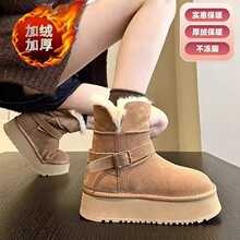 ͹ŰٴСѩѥŮ׼ӽqůeѥ2025¿