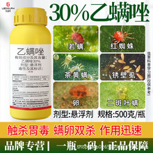 30%���\���Լt֩�댣��ș��֩����S�\���ф����ٹ����߲˲�ݮ