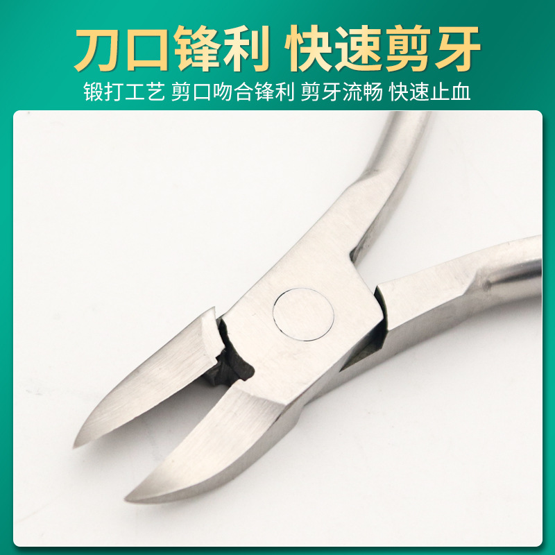 Cortador de dientes para lechones, cortador de dientes veterinario para cerdos, cortador de dientes de acero inoxidable, cortador de dientes para conejos, cortador de dientes para conejos.