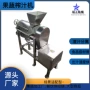 去核大型定制工业榨汁机