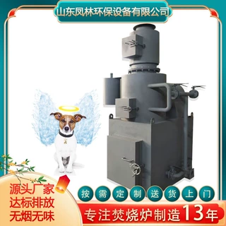 垃圾焚烧炉工业废弃物焚烧设备环保无烟味高温焚化炉厂家