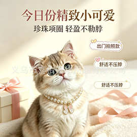 珍珠猫咪项圈可爱蝴蝶吊坠宠物颈圈轻盈不勒脖公主风配饰轻奢首饰