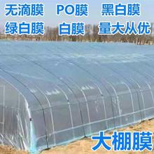 塑料薄膜农用草莓加厚膜大棚塑料膜保温棚大棚无滴膜种植蔬菜温室