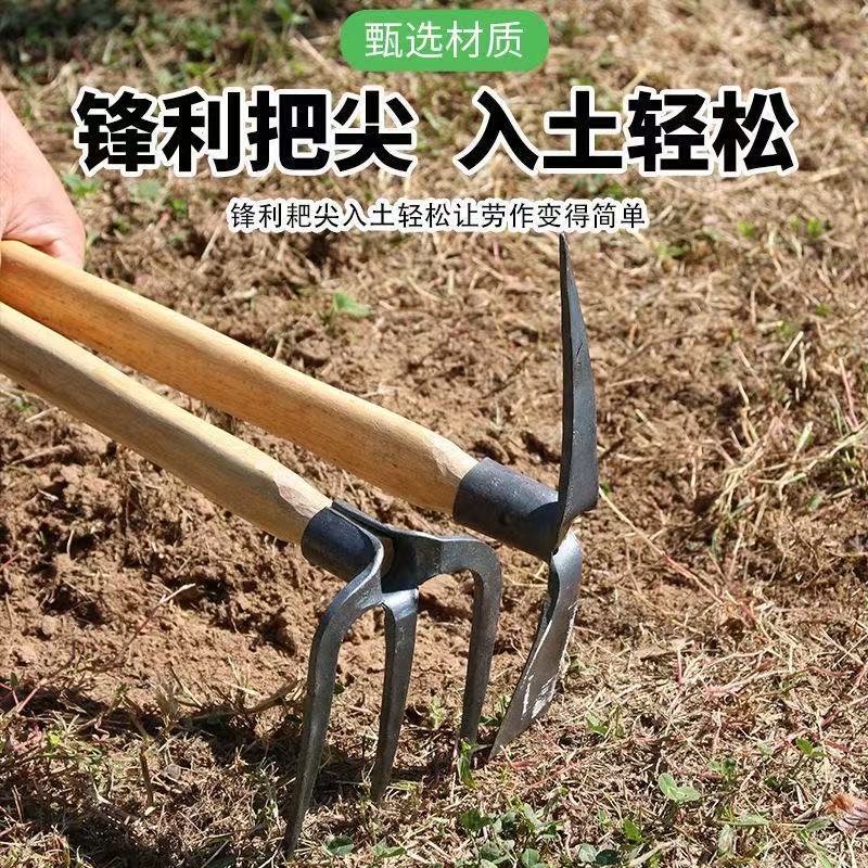 微信图片_202505050858552.jpg