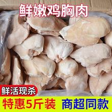 5���u����/�⴮�⡿���r�u�������u����ȥƤ�u�⽡�������������