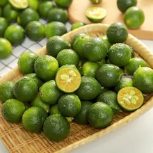 �����������rС����̲����ƤС���Ƥ����֭������]���]