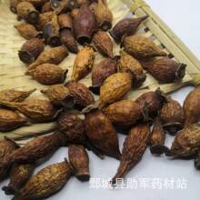 ��ș�����l ����� ��؛ ����ă� ���NҎ��500g�F؛ֱ������r��