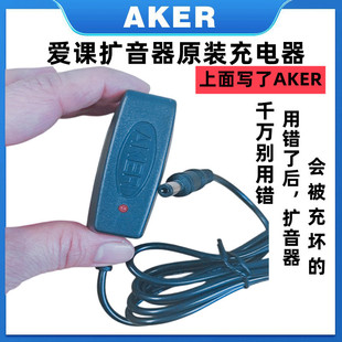 Wholesale supply of special charger for Love class waist-mounted bee amplifier