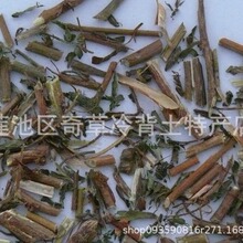 ���߲�,���e����,֪�߲�,�³��,���l��ș�ĺ��߲�