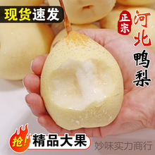 ii�ӱ�����ˮ�������rˮ�������������ֱ���ѩ����]����10������