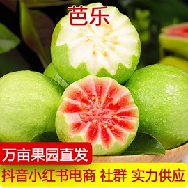其他水果;番薯类;柚