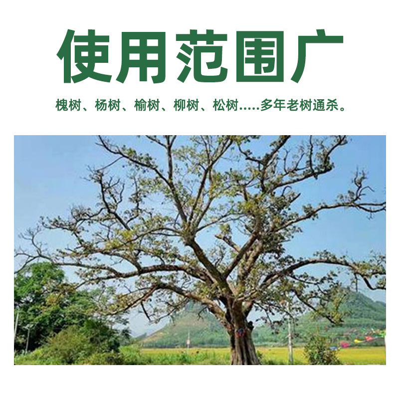 árboles grandes eliminadores de raíces podridas árboles en polvo elimina árboles grandes eliminación de hierbas eliminación de bambú arbustos eliminación de jardín de hierbas eliminación de árboles en polvo raíces podridas
