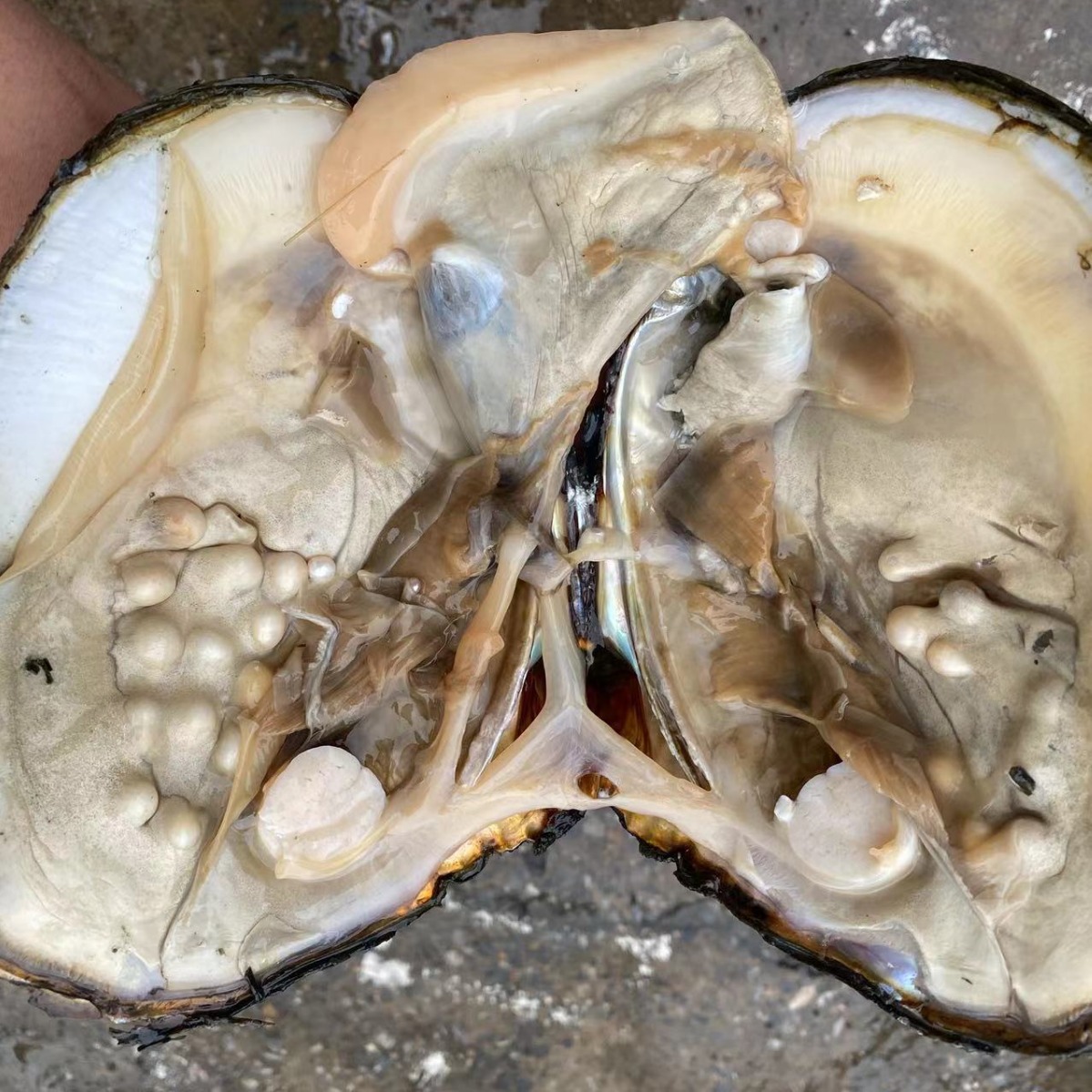 2023-11-09 19:19:55.jpg