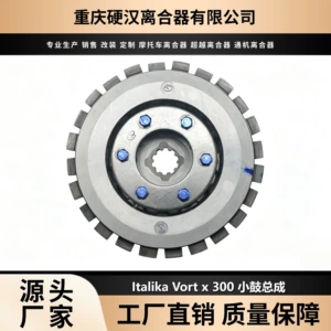 Cross-border factory suitable for Italika Vort-x 300 Loncin LX300-6 motorcycle clutch