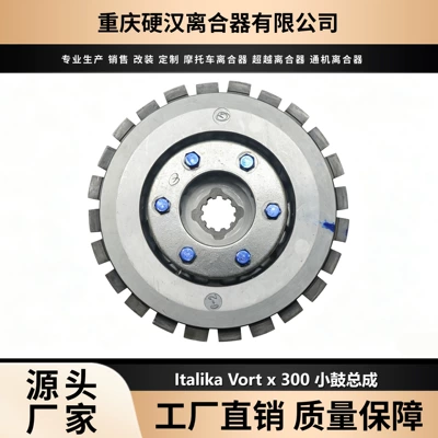 Cross-border factory suitable for Italika Vort-x 300 Loncin LX300-6 motorcycle clutch (Avtomatik sürtünməli mufta)