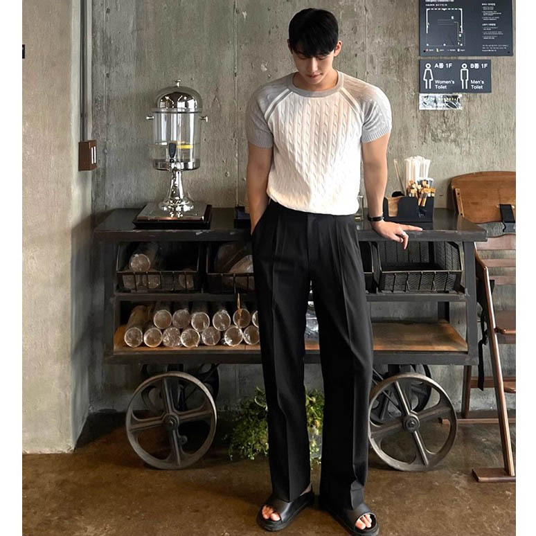 Pantalones verticales para hombres, pantalones casuales de verano, pantalones largos de pierna, botones interiores, pantalones sueltos para hombres.
