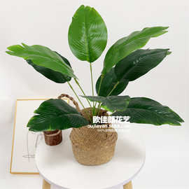 仿真植物旅人蕉芭蕉叶植墙面装饰植物墙绿植墙配材假草软装植物