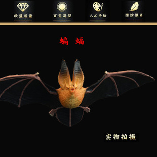 �羳���ķ��������߄���ģ���������������w����ͯ�J֪�Y��