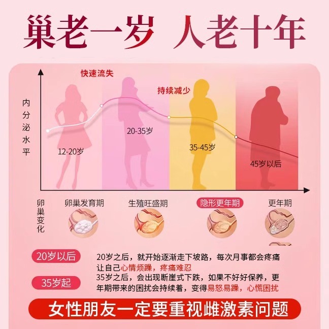 種子循環茶 プロゲステロン 亜麻仁 イチジク 黒豆 黒クコ 桑の実 健康茶種子全粉|undefined