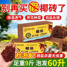 Ҭ�u�I�B��ͨ����Ҭ����Ҭ����Ҭ���N���B���N�ˌ��÷Nֲ��KҮ�u
