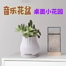 ����������푾Gֲ���ܔ[���ɏ�����ٻ�����������o���{������