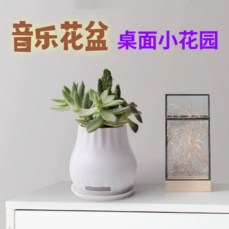 Музыкальный цветочный горшок умная аудио Цветочная тарелка может играть пианино зеленое растение цветок беспроводной динамик Bluetooth культурный Творческий Магазин подарок