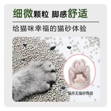 猫砂小颗粒矿砂无粉尘膨润土矿物质砂添加椰壳活性炭除臭