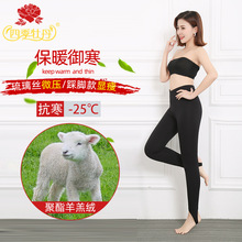 �ļ�ĵ�����q��ůѝŮ�����ӽq�Ӻ��������������_���ѝ��ѝ