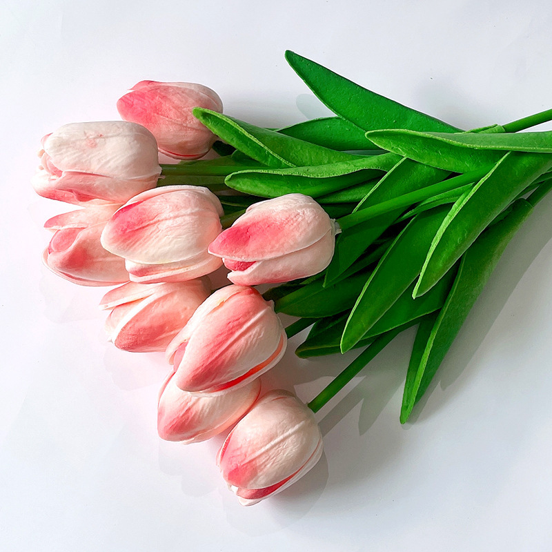 El verdadero amor Rosa tulipán