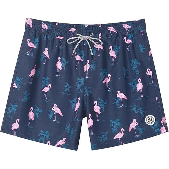 Men's Swim Trunks 5 Inch Swim Shorts Quick Dry Men's Swimwear Beach Shorts Mesh Lined Swim Trunks