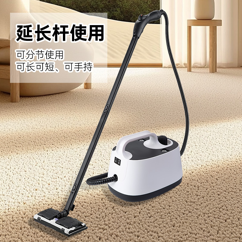 Máquina de vapor de alta temperatura nueva máquina de limpieza tratamiento de formaldehído película de coche estándar europeo y americano estilo de casa