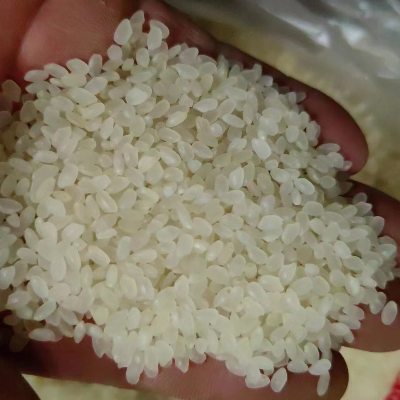 Japonica Rice (Oryza sativa japonica) — Dried Whole Grain for Congee & Herbal Soups key features