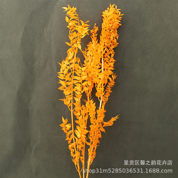 【약 55g】오렌지