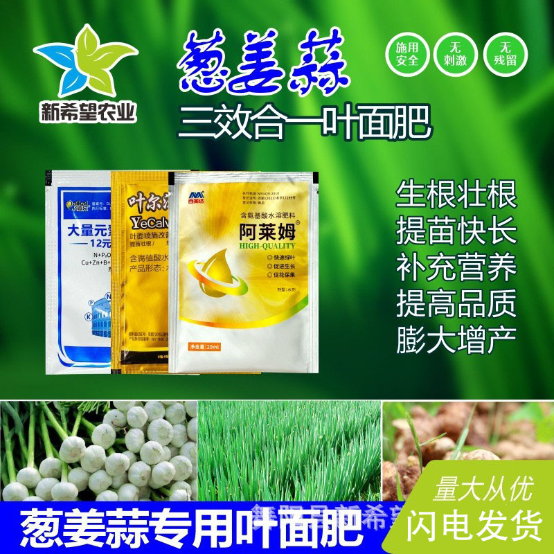 香葱小葱大葱大蒜生姜黄姜大蒜专用叶面肥防干尖黄叶壮根营养增产